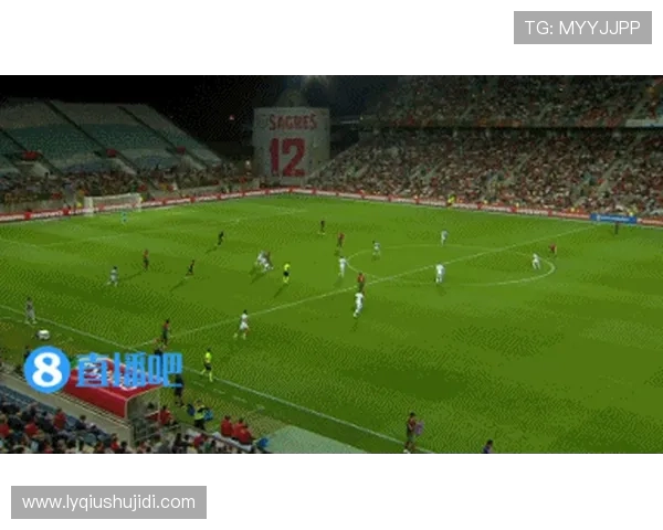 卢森堡与葡萄牙精彩对决全场录像回放及精彩瞬间分析